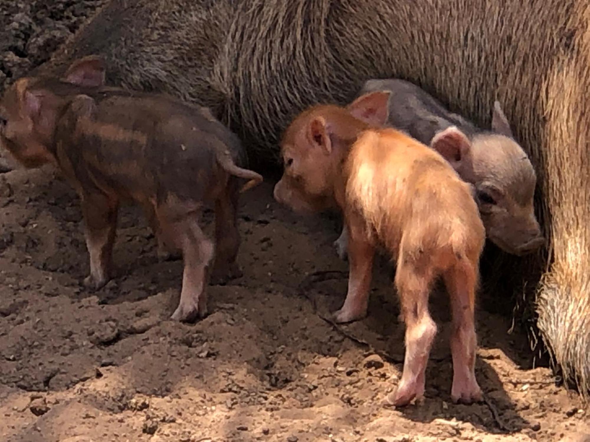 Fishers Of Men Ranch Home Marble Falls Ngoại thất bức ảnh